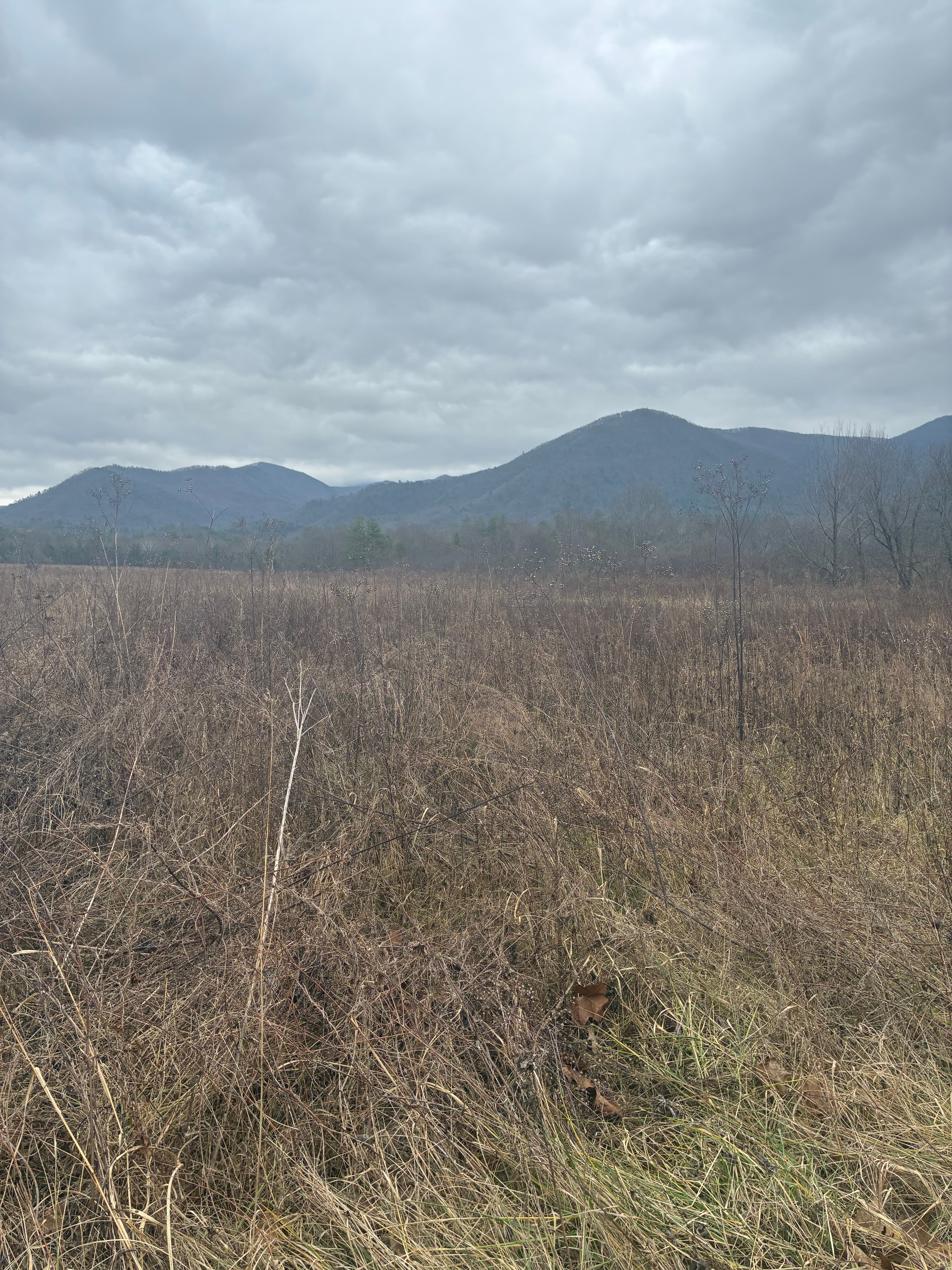 Mountain landscape in the Townsend/Walland area of Tennessee