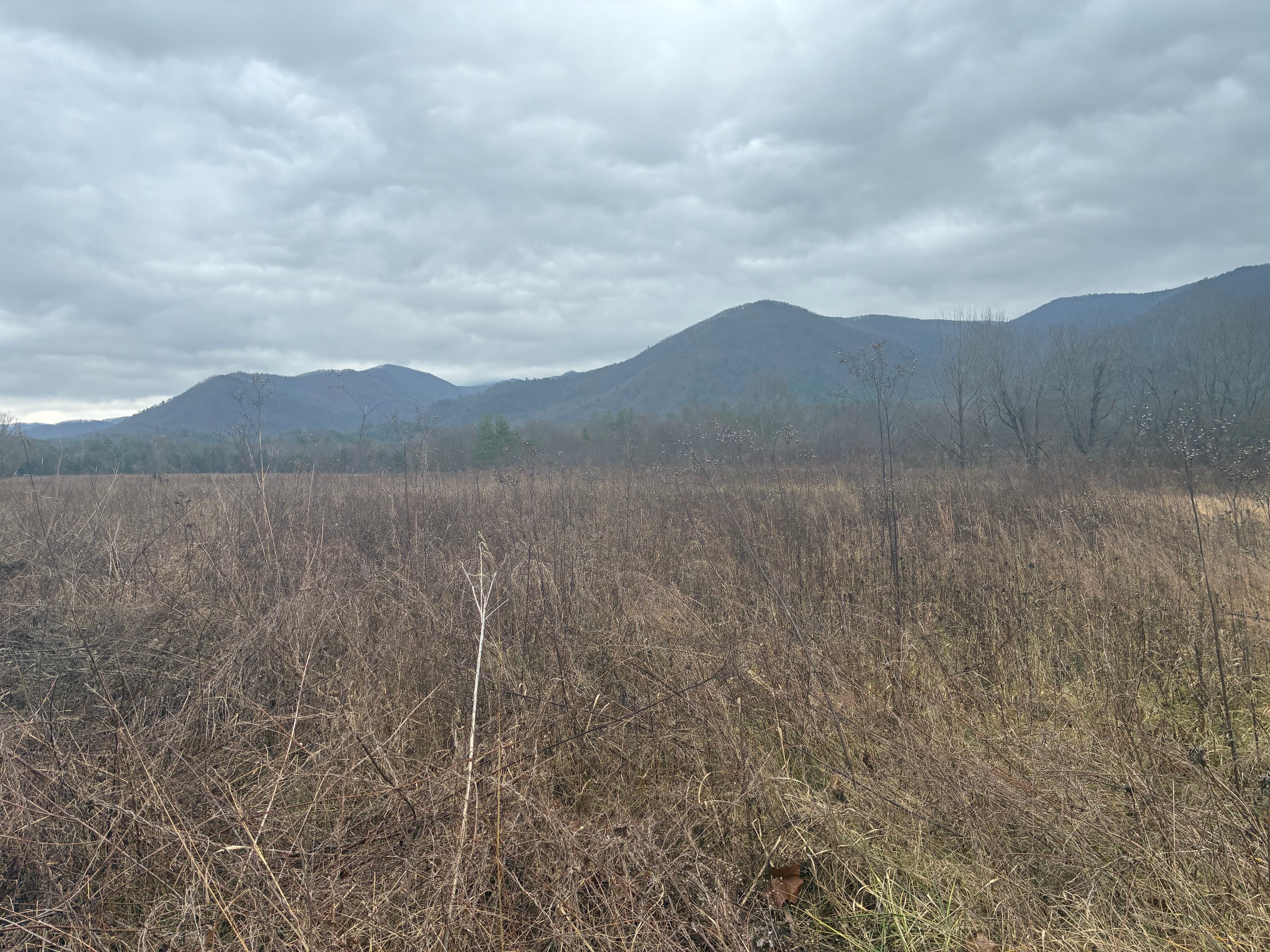 Field with Smoky Mountains in the background in the Townsend, Tennessee area